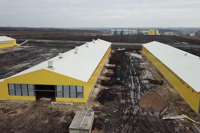 Проект строительства новых птичников в Воронежской области получил положительное заключение экспертизы 